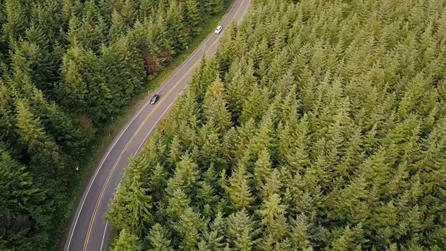 蜿蜒的道路通过管理森林在太平洋西北-航拍视频素材