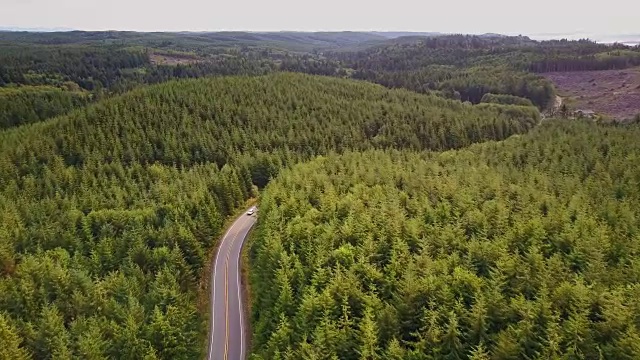 航拍通过管理森林的道路视频素材
