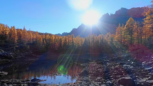 在阳光明媚的秋天，向前空中飞越高山山谷湖泊和橙色落叶松森林。阿尔卑斯山户外丰富多彩的自然景观，山野秋实的建立。4k无人机飞行建立镜头视频素材