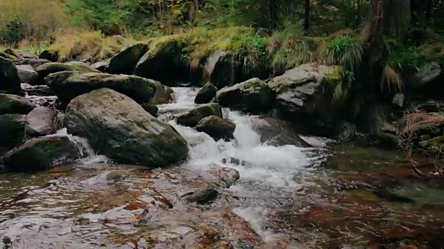 岩石上的泉水视频素材