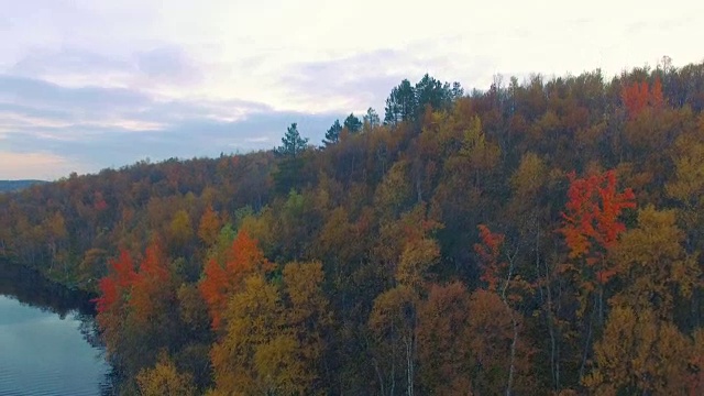 秋天的风景视频素材