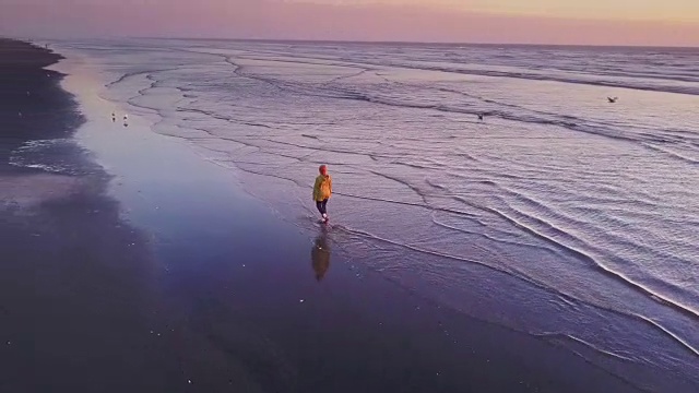 无人机拍摄的女人在偏远的海滩冲浪行走视频素材