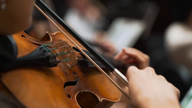 女子在古典音乐会上拉小提琴。交响乐团的音乐家视频下载
