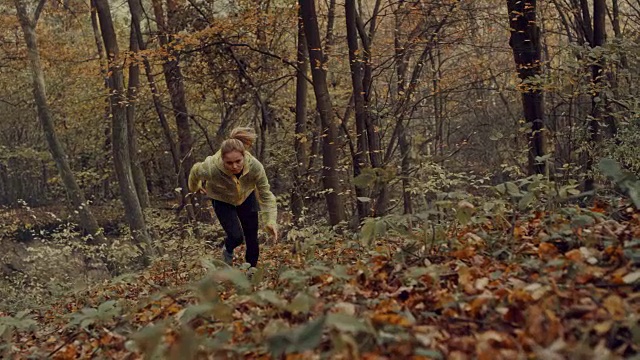 在树林里训练。秋天的风景视频素材