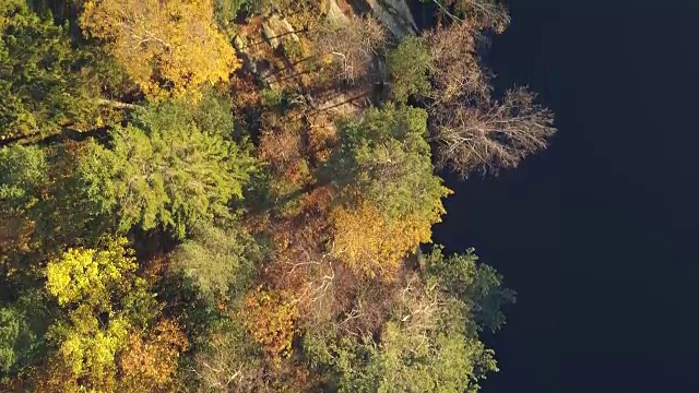 秋季森林鸟瞰图视频素材