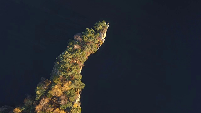 秋季森林鸟瞰图视频素材