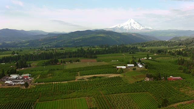 以胡德山为背景的空中农业用地视频素材