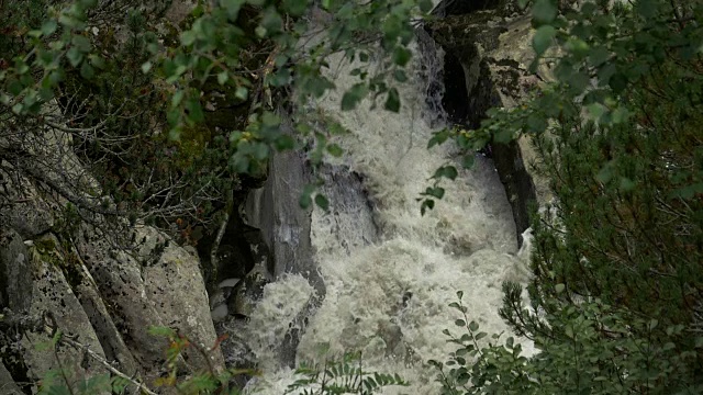 溪流森林意大利阿尔卑斯山慢镜头视频素材