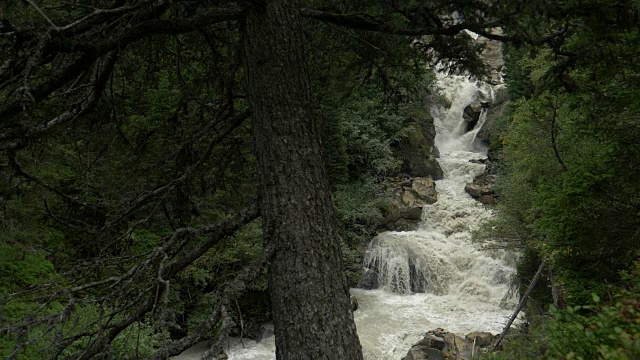 溪流森林意大利阿尔卑斯山慢镜头视频素材