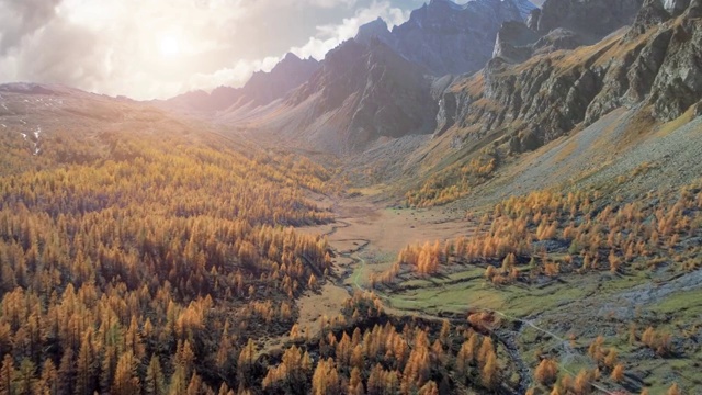 在阳光明媚的秋天，向前空中俯瞰高山山谷和橙色落叶松森林。阿尔卑斯山户外山野落自然在日落或日出建立。4k无人机飞行建立镜头视频下载