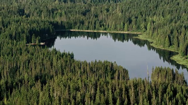 空中湖在一个阳光明媚的日子里的森林视频素材