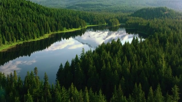 森林中平静的湖面，映衬着美丽的胡德山视频素材
