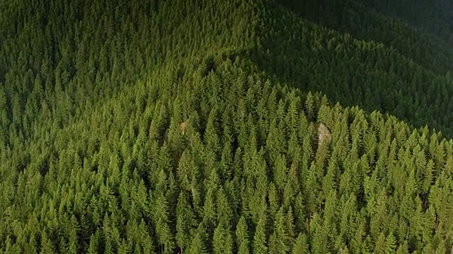 空中的山峰上覆盖着森林视频素材