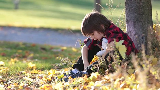 一个可爱的小男孩带着泰迪熊在一个秋日的下午，坐在公园的草地上视频素材