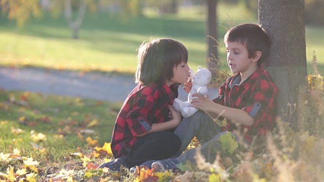 两个孩子，男孩，在公园里玩玩具，秋天的时候视频素材