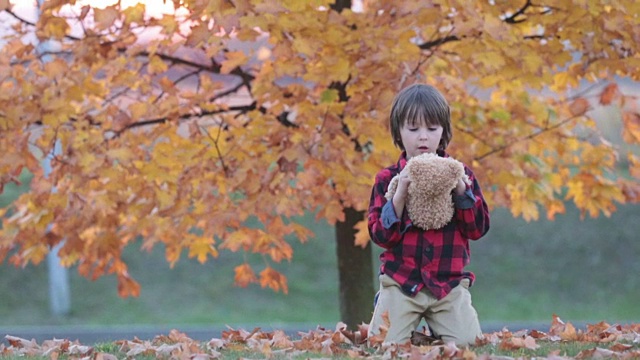 一个可爱的小男孩带着泰迪熊在一个秋日的下午，坐在公园的草地上视频购买