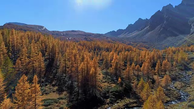 在阳光明媚的秋天，向前空中俯瞰高山山谷和橙色落叶松森林。欧洲阿尔卑斯山户外丰富多彩的自然景观，山野秋季的建立。4k无人机飞行建立镜头视频素材