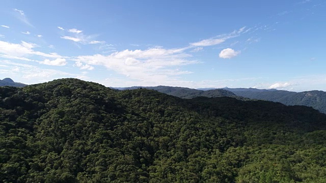 鸟瞰雨林中的山脉视频素材