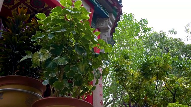 古寺建筑-元大仙寺的慢镜头视频素材