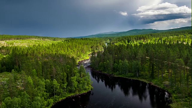 空中的河流被北方针叶林包围视频素材