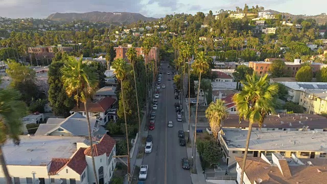 在洛杉矶的街道上飞过棕榈树视频下载