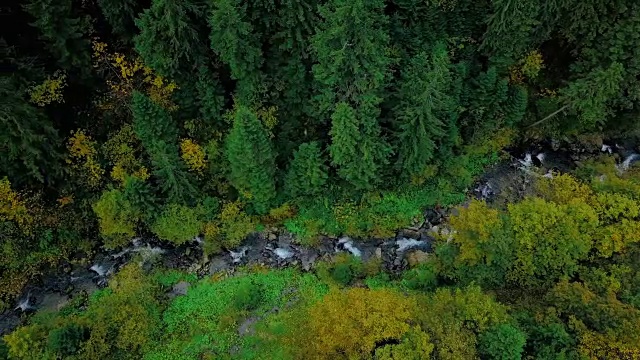 岩石,无人机,树林,在上面视频素材