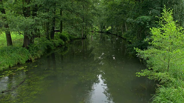 施普雷瓦尔德的典型水道，Lübbenau，施普雷瓦尔德，德国勃兰登堡视频素材