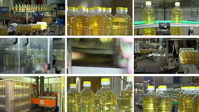工厂为生产精制葵花籽油视频下载