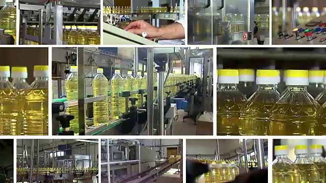 向日葵油生产线上视频下载