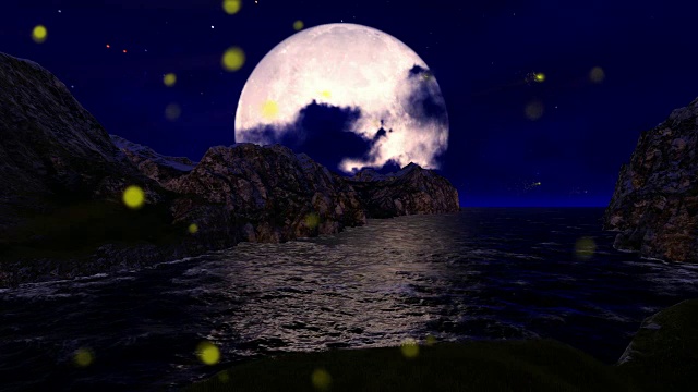 大海上的大月亮和萤火虫视频素材