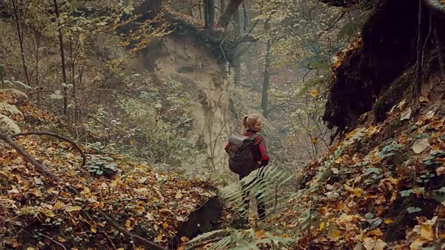 探索荒野地区的女人。秋天的森林视频素材