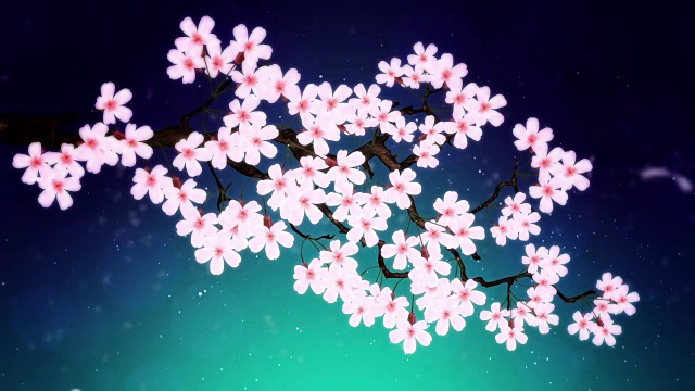 樱花盛开的树，樱花盛开的动画，视频素材