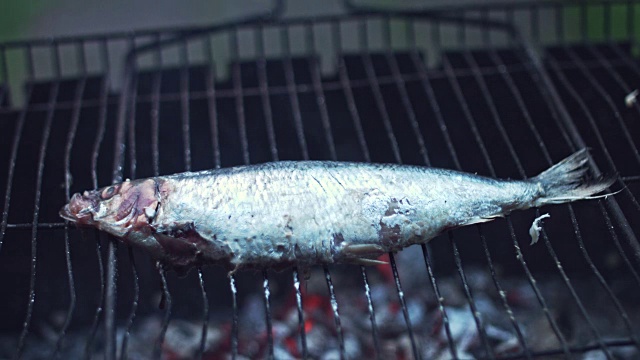 4k烧烤烹饪烧烤鱼视频下载
