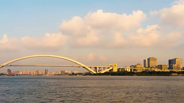 潘瓦上海卢浦大桥黄昏时分视频素材