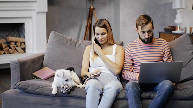 女人一边打手机一边和狗狗玩。人使用笔记本电脑视频素材