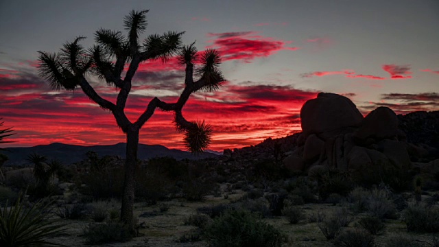 时光流逝:日出沙漠-约书亚树国家公园，加利福尼亚视频下载