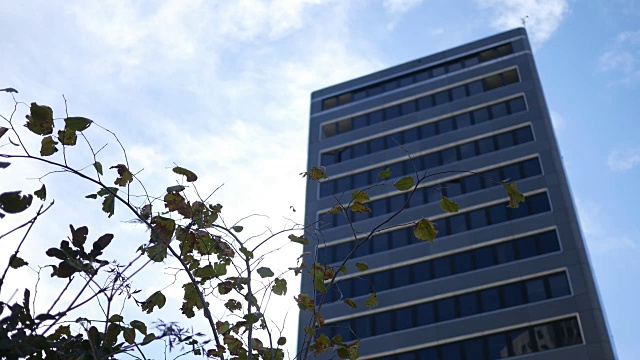 高大的办公楼部分隐藏在秋天的树木在凉爽的下午- ALT视频素材