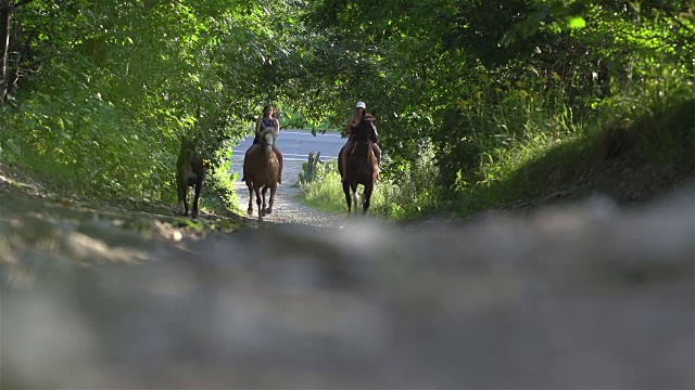 一个女人和一只狗在农场骑马视频素材