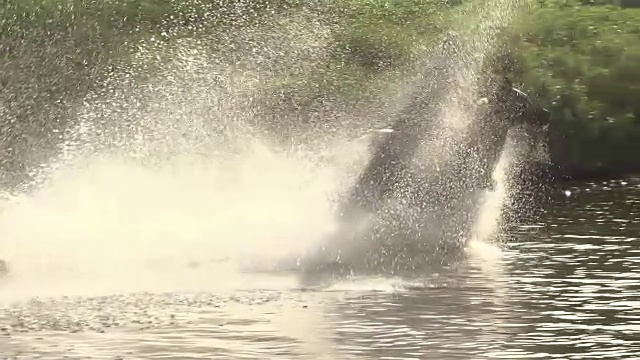 少女骑马河飞溅自由慢镜头4K 4:2:2视频素材