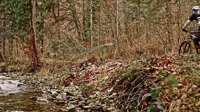 一位男性山地自行车手在一个寒冷的秋天沿着一条小溪在森林小径上骑行视频素材