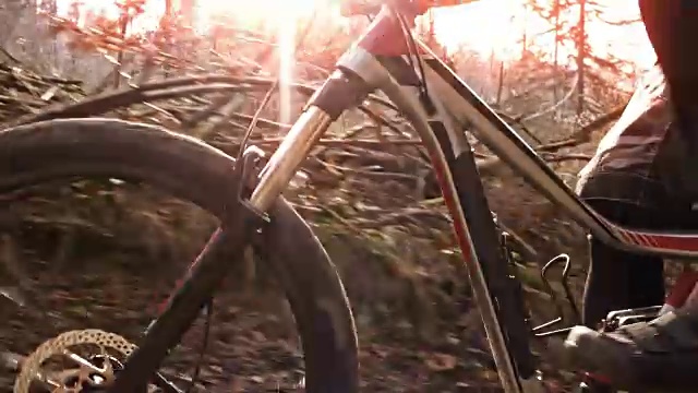 山地车在森林小径上骑上山，秋日的阳光在背景中闪耀视频素材