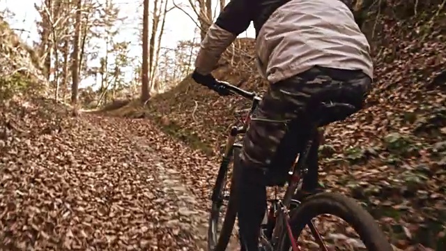跟随一位男性山地自行车手在阳光下沿着森林小径骑行视频素材