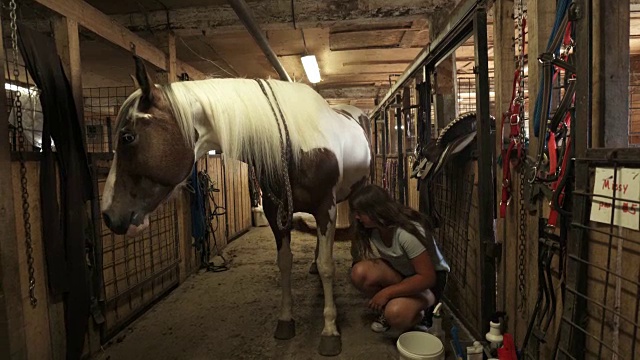 少女照顾马在马厩视频素材