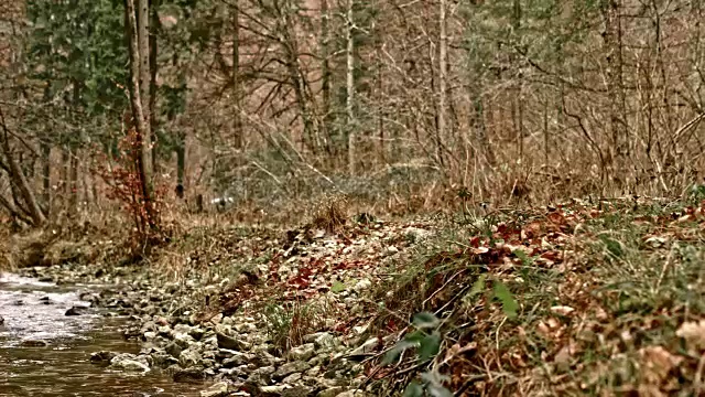 一个男人和一个女人骑着他们的自行车穿过一个秋天的森林沿着一条小溪的小径视频素材
