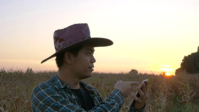 农民在玉米地里拨打手机视频下载