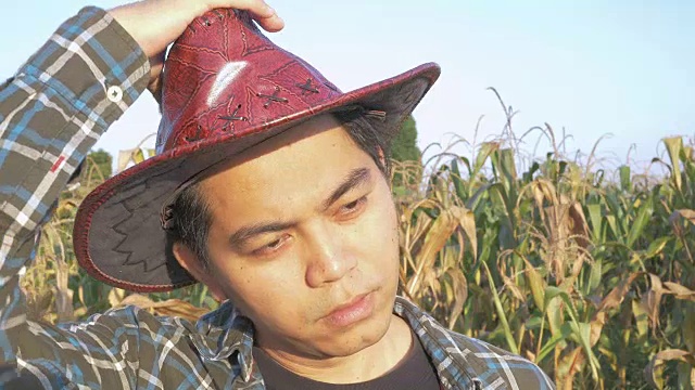 玉米地里的年轻农民肖像视频下载