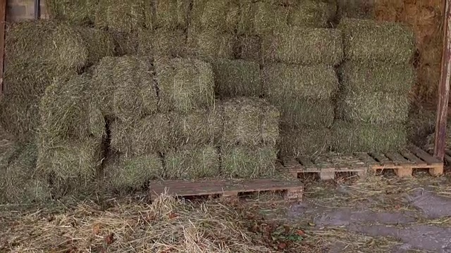 农场谷仓里的大草堆。视频下载