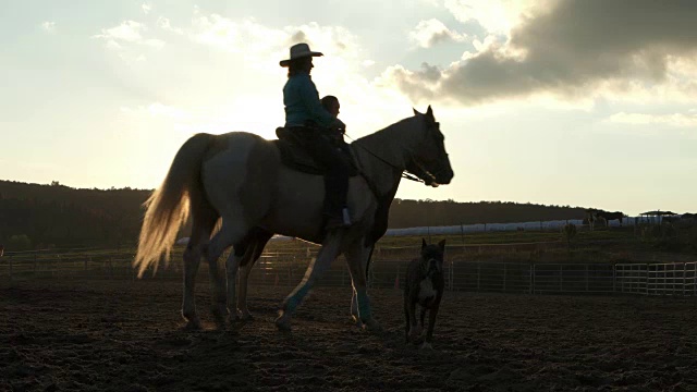 少女训练马围场日落农场视频素材