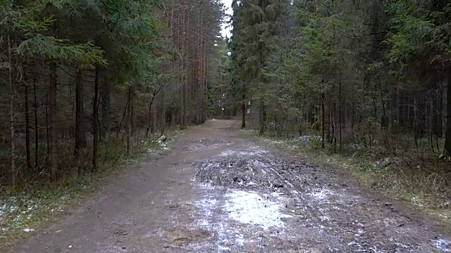 森林冰冻景观的视频视频下载