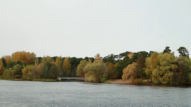 秋季景观在河滨或湖滨城市公园。黄色的桦树和柳树在绿色的冷杉和松树之间。桥在河上。五颜六色的树叶的树。成熟的秋天。树在风中摇摆。秋天的城市里，金色的枫叶落在地上视频素材